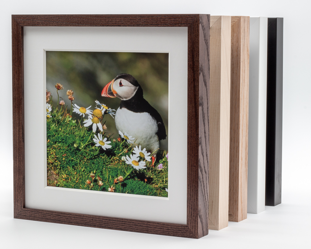 Welcome to The Meticulous Puffin Blog!