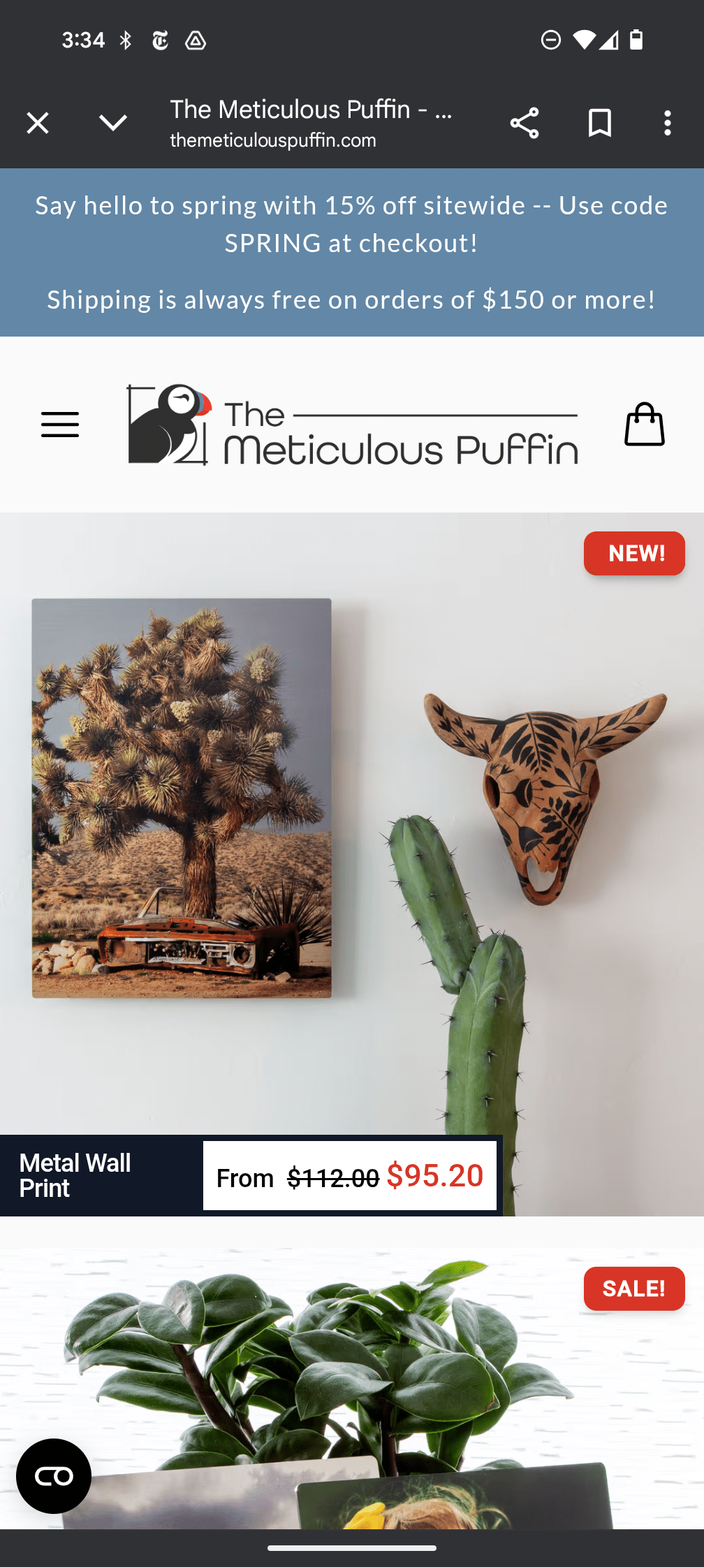 How to Frame a Photo with The Meticulous Puffin from Your Phone